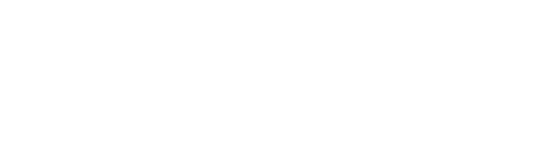 DQ-PrimaryLogo copy